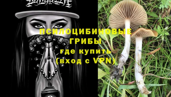 MDMA Premium VHQ Аркадак