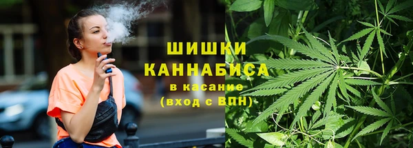 соль ск Арсеньев